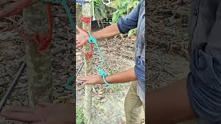 This Knot Could Save You Time