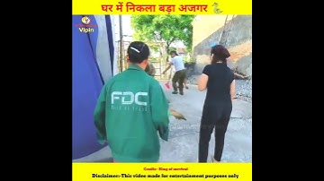 Snake Rescue ➡️  Part-1 | घर के अंदर आगया बड़ा सांप 🐍 | Snake Video #shorts #snakerescue #snake