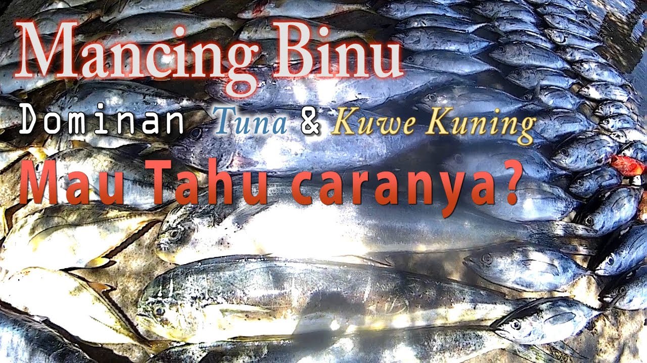 Spot Andalan - Tuna & Kuwe Kuning - YouTube