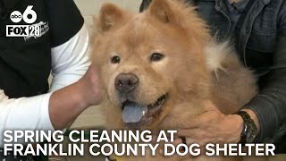 Spring cleaning isn't what you think it is at the Franklin County Dog Shelter