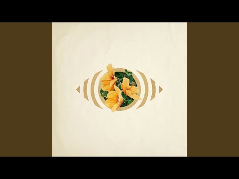 ((( O ))) - Faded