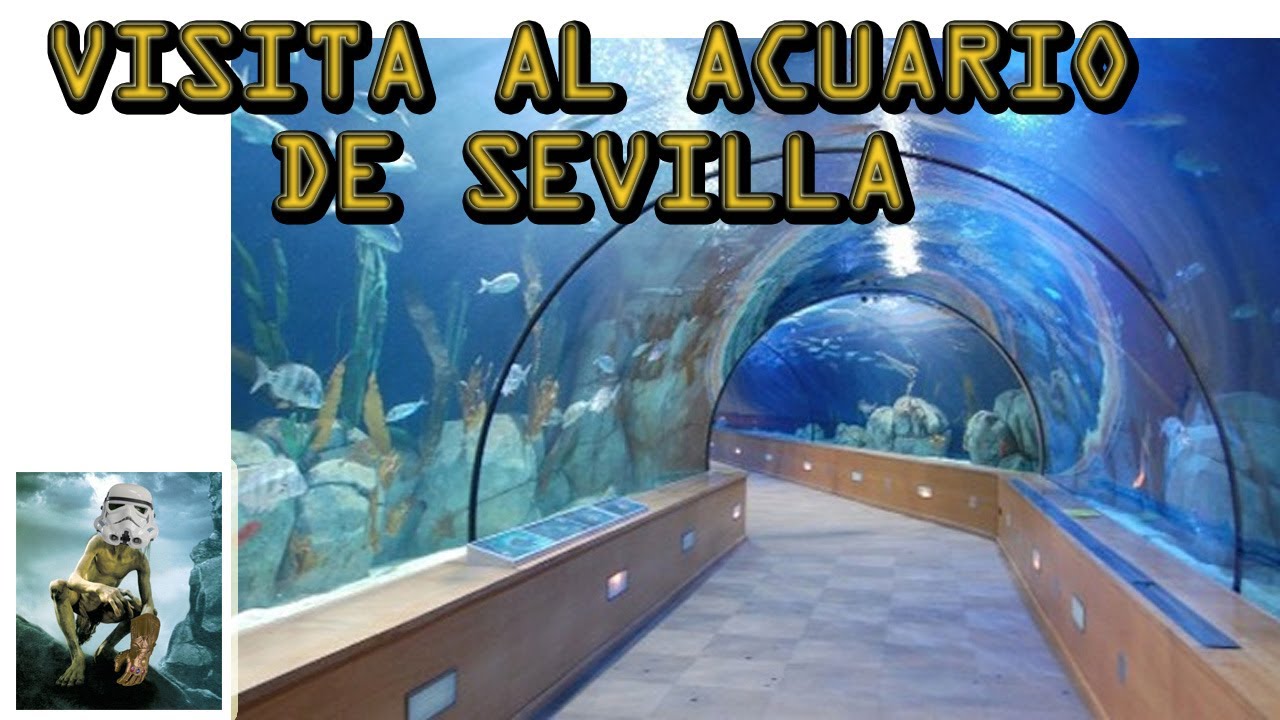 Visitando el Acuario de Sevilla - YouTube