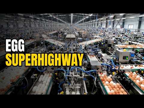 How Millions of Eggs Are Washed, Graded and Packed (Full Process)