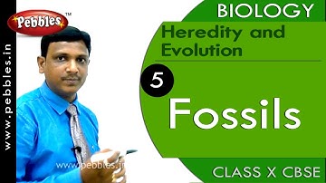 Fossils | Heredity and Evolution |Biology |CBSE Class 10 Science
