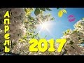 КРАСИВАЯ ПРИРОДА В АПРЕЛЕ 2017