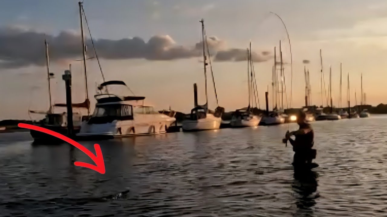 Orvis Guide | Saltwater Fly Fishing for Solent Summer Bass