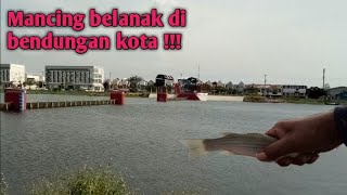 NEKAT !!! Mancing belanak di bendungan kota