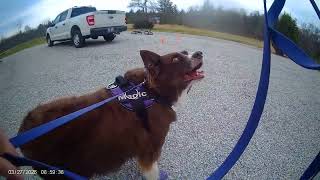 Celebrity CPE CSS Container, Vehicle & Exterior Level 2 2026 03 27 Profile