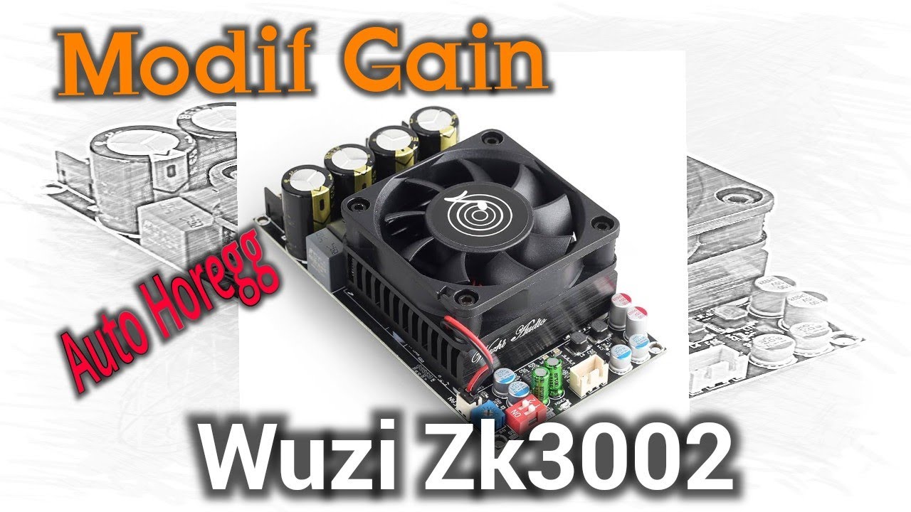 Modif Input Gain Power Wuzi ZK3002