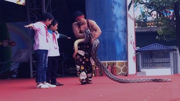 Hồi Hộp Đến Tận Cùng  Khi Xem Màn Xiếc Này - Xiếc Trăn