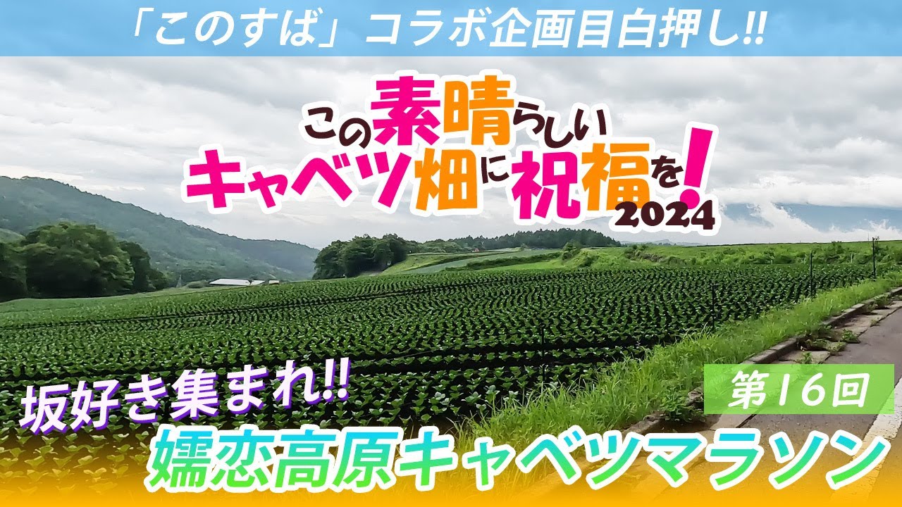【爆坂＆キャベツ祭り】嬬恋高原キャベツマラソン2024実況ラン