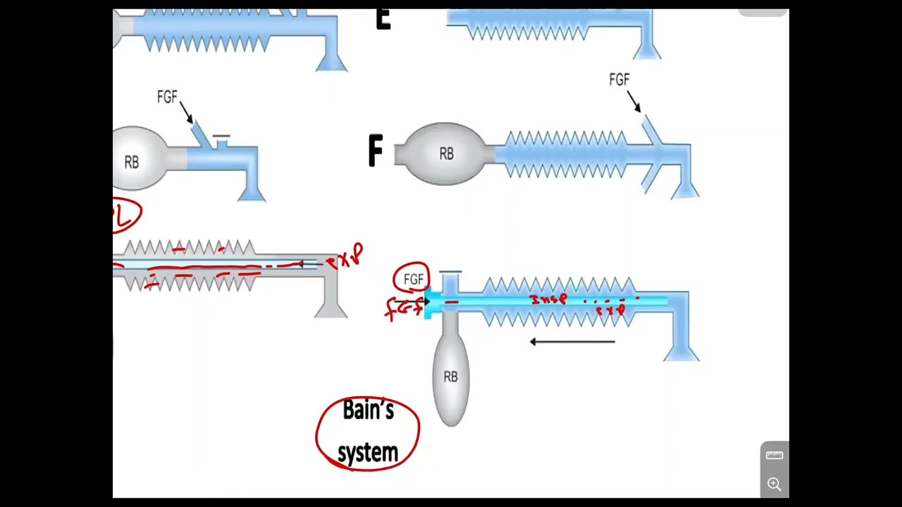 تقنيات التخدير/المرحلة الثالثة/كورس الاجهزة التقويمي/محاضرة Anesthetic Breathing Systemالجزء الثاني