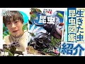 生きた虫「だけ」を収録した奇跡の図鑑をオススメします！【聞いてよ、〇〇さん】(前編)