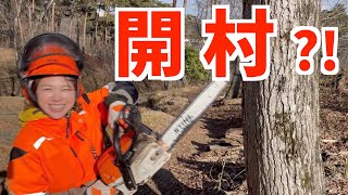 【開村?!】巨大スウェーデントーチ作り!チェーンソー持って山に入ったら超楽しすぎた〜
