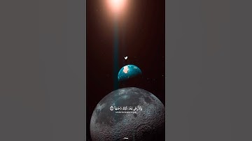 🌺 #قران_كريم #تلاوة_هادئة #quran #تلاوه #قرآن #اكسبلور #المصحف