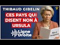 Regroupement familial : ces pays qui osent enfin dire NON à l'immigration - Thibaud Gibelin