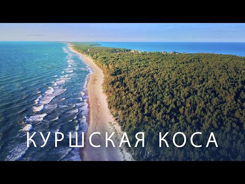 Куршская Коса: Высота Эфа, Танцующий лес, озеро Лебедь, Королевский бор, Высота Мюллера