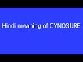 Meaning of CYNOSURE@WordsWizard