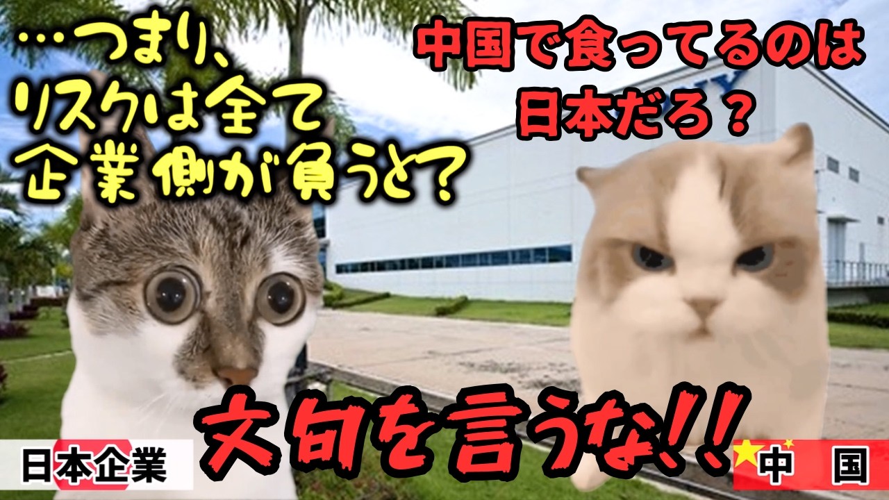 【日本を怒らせた代償】中国、日本企業が撤退した末路#猫マニ #猫ミーム