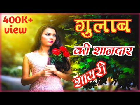 गुलाब शायरी 🌹| गुलाब की शायरी |Rose Shayri | Gulaab Hindi Shayri 🌹