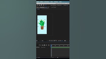 Plant Animation After Effects Motion graphics