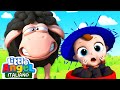 Pecorella Nera Quanta Lana Hai Cartoni Animati Con Gianni Piccino Little Angel Italiano mp3