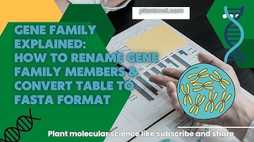 Gene Family Explained: How to Rename Gene Family Members & Convert Table to FASTA Format