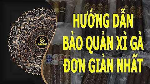 Cách bảo quản x.ì g.à đơn giản nhất | Cách bảo quản cigar dễ nhất | Ambe