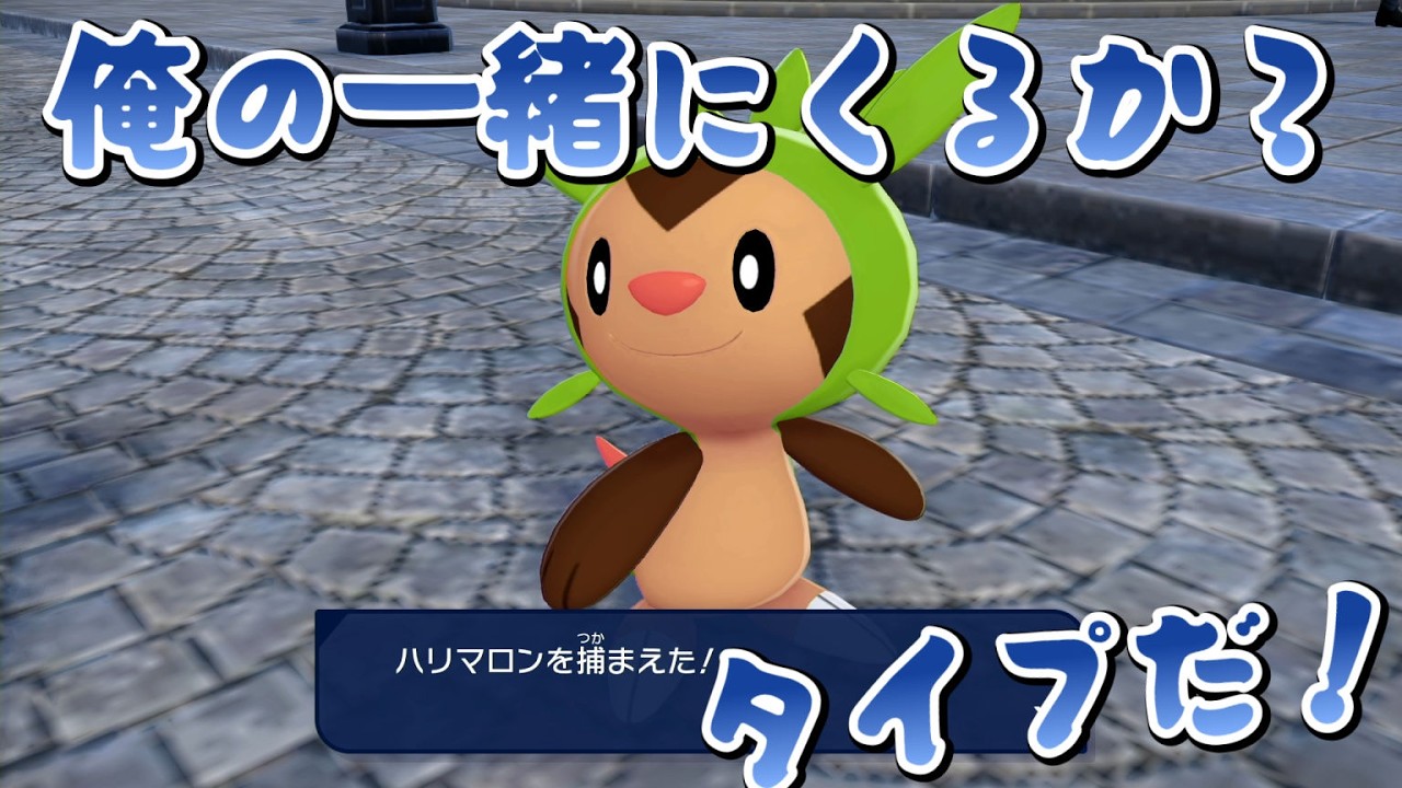 これ憧れのやつだ【ポケモンレジェンズZ-A】＃11