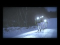 Ski team sweden xcountry illuminated by silva