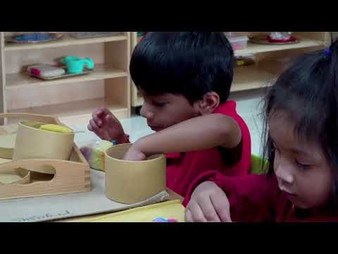 Primary Goal at Joyous Montessori Keller - Help each child reach full potential