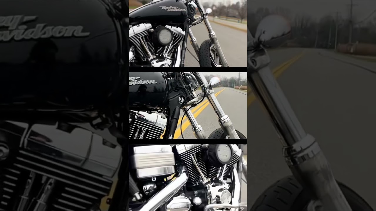 08 FXDL - Winter Project 🤘🏻🥶🤘🏻