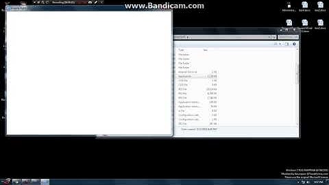 Insanity Flyff client bug