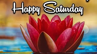 saturday good morning picture images Best good morning flower image