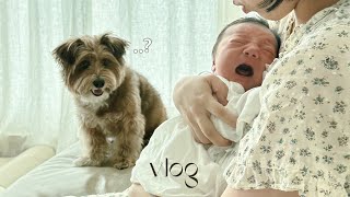 Dog's first time seeing a newborn baby❤️ Baby and dog 👶🏻🐻