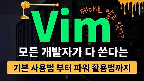 Vim 제대로 가르쳐 줌 🤓 (개발자라면 한번쯤 꼭 쓴다는 Vim)