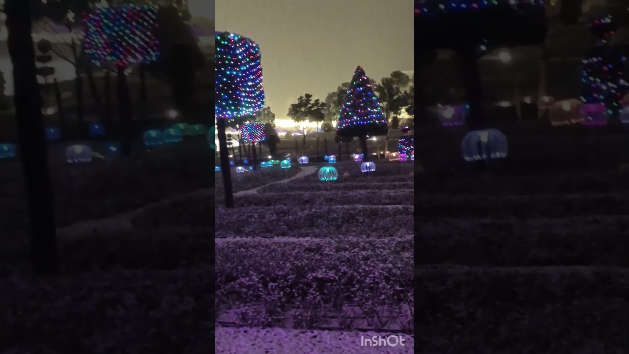 #remix#music#dance#галицкий#краснодар#новыйгод#zima#snow#shorts#vlog#happy#games#паркгалицкого#sea