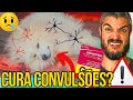 ENTENDA O MOTIVO DAS CONVULSÕES E PROBLEMAS NEUROLÍGICOS DOS CÃES GARDENAL E GABAPENTINA NÃO RESOLVE