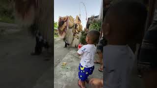 Download Lagu Mapangan barong ket #barongan #budayaindonesia #bali MP3 Download Lagu Mapangan barong ket #barongan #budayaindonesia #bali MP3