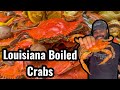 Louisiana style boiled blue crabs  chef alden b