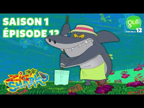ZIG ET SHARKO🏝️ Le tunnel sous le lagon 😂 Saison 1 épisode 12 I M6+