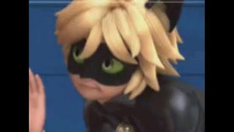 chat noir once said...