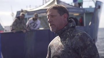 Tagging great white Unama