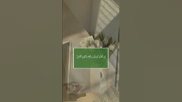 القارئ احمد الشافعي (سورة النور) 🌿💚