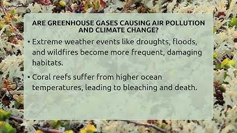 Are Greenhouse Gases Causing Air Pollution And Climate Change? - Ecosystem Essentials