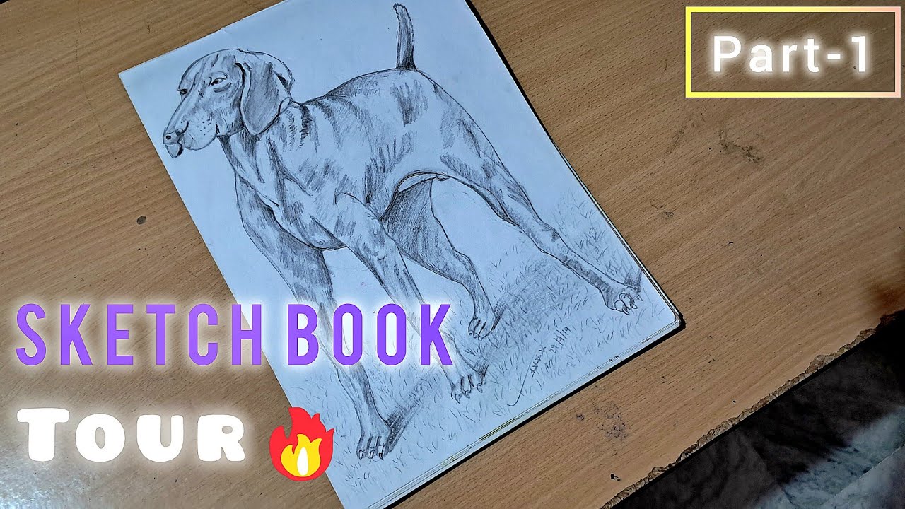 SKETCH BOOK Tour part-1 ️(Just laugh at my drawing) - YouTube