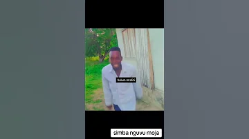 Ukikaza Sna Aufungiki Tunakutufua Kwa Penat 