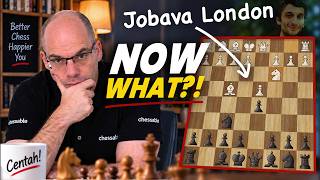 How Does a Chess Master Deal With the Jobava London