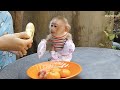 Most Adorable!! Cute Baby Monkey Moly Hungry Cry Flutter Call Mom Hurry Up To Feed Him