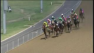 Vidéo de la course PMU MAIDEN PLATE